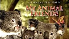 My Animal Friends
