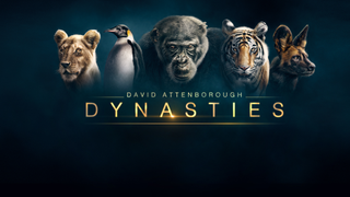 David Attenborough's Dynasties