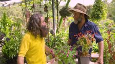 S30 E14: Gardening Australia