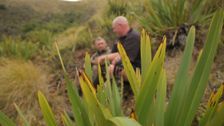 S11 E5: Hunting Aotearoa