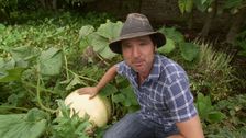 S28 E2: Gardening Australia