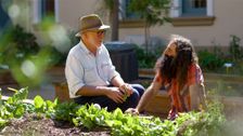 S29 E5: Gardening Australia