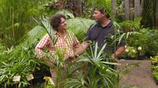 S31 E21: Gardening Australia