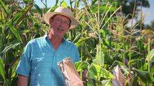 S29 E30: Gardening Australia