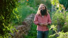 S31 E1: Gardening Australia