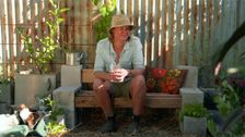 S29 E18: Gardening Australia