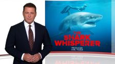 S41 E36: The Shark Whisperer, Fight of His Life
