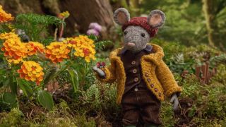 Scout & the Gumboot Kids