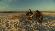 S2 E7: Cape Leveque: Mud Crabbing