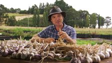 S29 E16: Gardening Australia