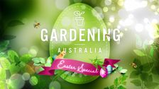 S31 E10: Gardening Australia