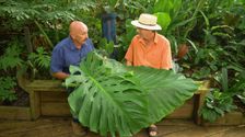 S30 E17: Gardening Australia