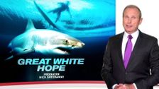 Great White hope, Misfortune, 60 Minutes timeless: Graduates of Hell