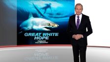 Great White Hope, Not So Great Britain, Election 2016